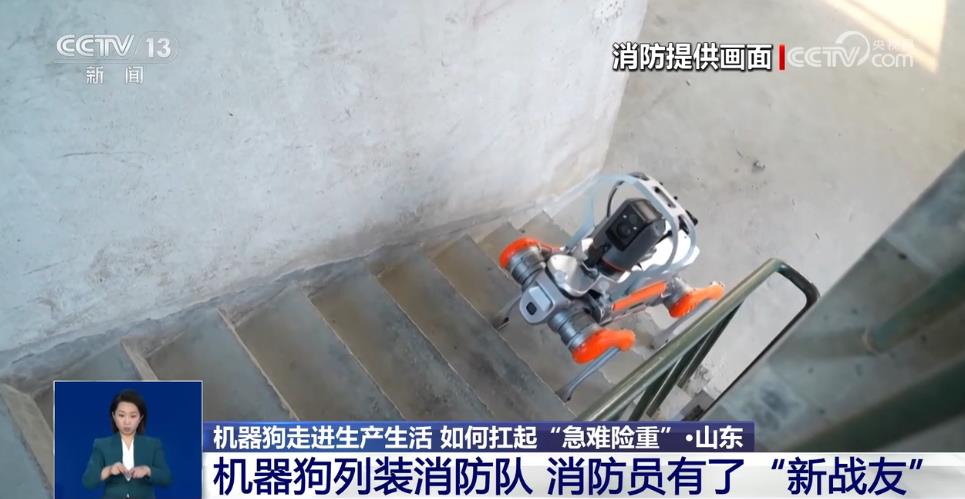金年会app火场救济、南极功课、陪同照顾护士……这个“机械狗”大有来头(图1)