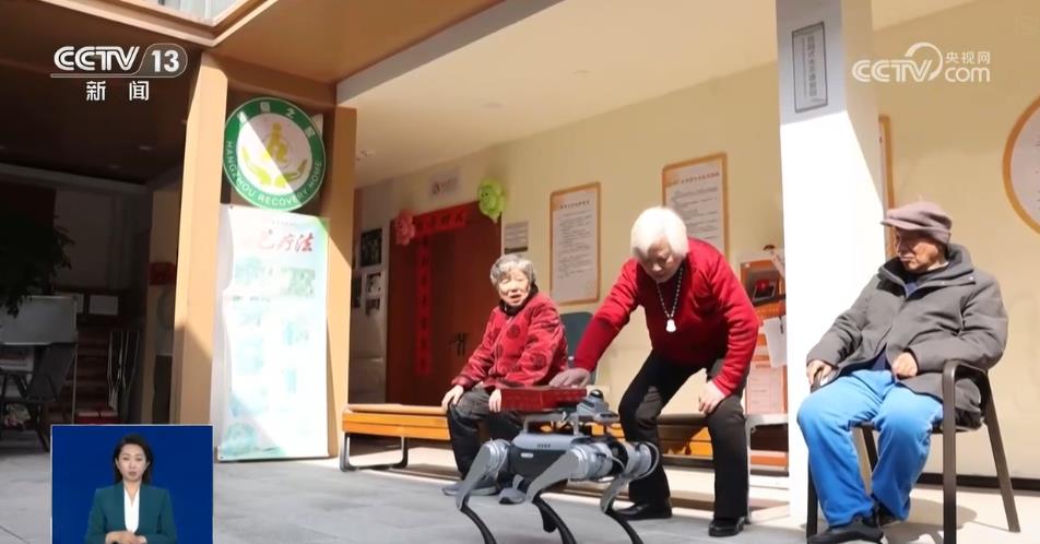 金年会app火场救济、南极功课、陪同照顾护士……这个“机械狗”大有来头(图2)
